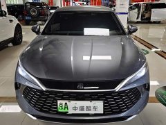BYD L DM-i Smart Drive Edition 80KM Version - фото 3