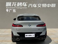 BMW X4 xDrive 30i M Sports Package - фото 5