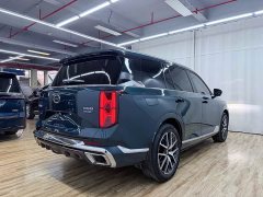 GAC GS8 2.0TM 2WDPremium Edition - фото 7