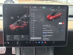 Tesla Model 3 PerformancePerformance Edition 3D1 - фото 13