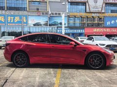 Tesla Model 3 PerformancePerformance Edition 3D1 - фото 4