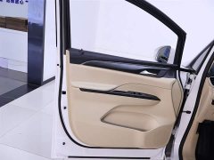 Buick GL8 2023 ES Lu Zun Exclusive - фото 18
