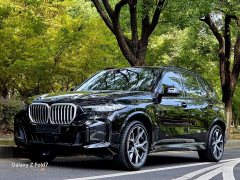 BMW X5 xDrive 30Li Deluxe VersionM - фото 1