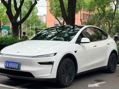 Tesla Model Y Long Range Edition - фото 1