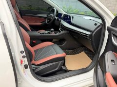 Plus Edition PLUS NE 1.4T GDI DCTPremium Edition - фото 13