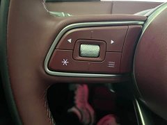 FAW HS6 PHEV 240 Edition - фото 20