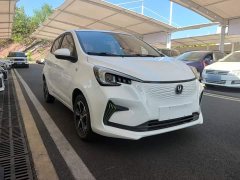 BYD E-Star Edition - фото 4