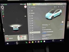 Tesla Model Y Standard Range Edition - фото 11