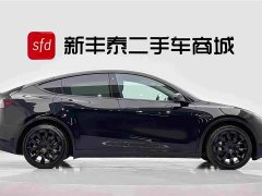 Tesla Model Y Standard Range Edition - фото 3