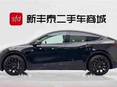 Tesla Model Y Standard Range Edition - фото 4