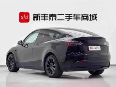 Tesla Model Y Standard Range Edition - фото 6