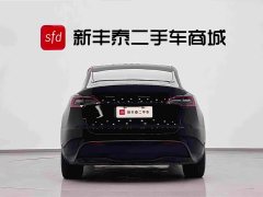 Tesla Model Y Standard Range Edition - фото 7