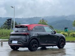 smart#1 BRABUS Edition - фото 4