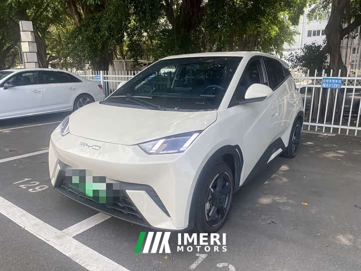 BYD Edition 405km Edition