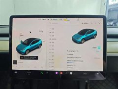 Tesla Model Y rear-wheel drive version - фото 10