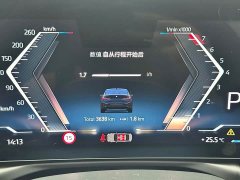 BMW 3 Series 330Li M Sports Night Package - фото 20