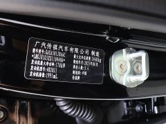 Trumpchi GS8 Pilot Series 2.0TGDI two-wheel drive luxury version 5 seats - фото 17