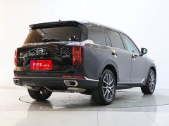 Trumpchi GS8 Pilot Series 2.0TGDI two-wheel drive luxury version 5 seats - фото 4