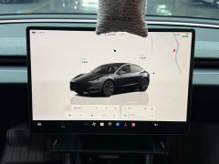 Tesla Model 3 Edition - фото 16