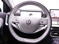 Leapmotor B01 550 Edition - фото 20