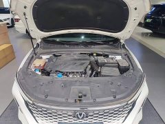 Changan PLUS 1.5T DCT Version - фото 20