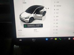 Tesla Model Y Edition - фото 9
