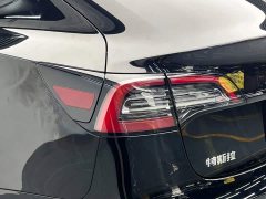 Tesla Model 3 Edition - фото 12