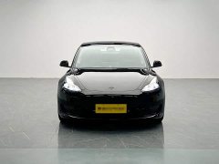 Tesla Model 3 Edition - фото 2