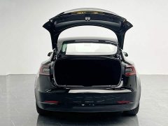 Tesla Model 3 Edition - фото 9