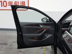 Volkswagen Magotan 380TSI DSG Premium Edition Damai Bag - фото 8