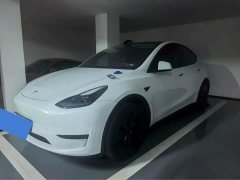 Tesla Model Y Edition - фото 1