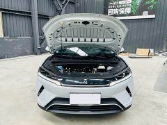 BYD UP Smart Drive Edition 401KM Edition - фото 12