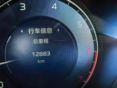 FAW H5 2.0T Edition - фото 12