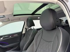 Volkswagen Magotan 2024 380TSI DSG Premium Edition Damai Bag - фото 16