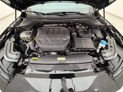 Volkswagen Magotan 2024 380TSI DSG Premium Edition Damai Bag - фото 18
