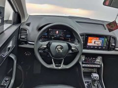 Lexus Korok TSI280 Luxury Edition - фото 13