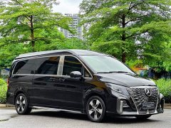 Mercedes-Benz V-Class V 260 L High-Roof Custom Edition - фото 4