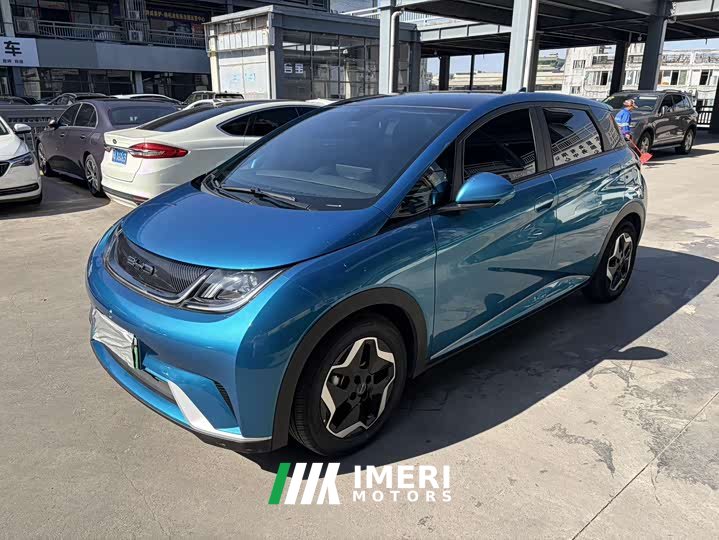BYD Dolphin 2021 405km fashion version