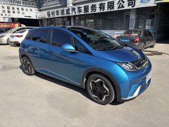 BYD Dolphin 2021 405km fashion version - фото 3