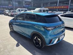 BYD Dolphin 2021 405km fashion version - фото 4