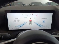 FAW HS3 PHEV 125km 200Anniversary Edition - фото 12