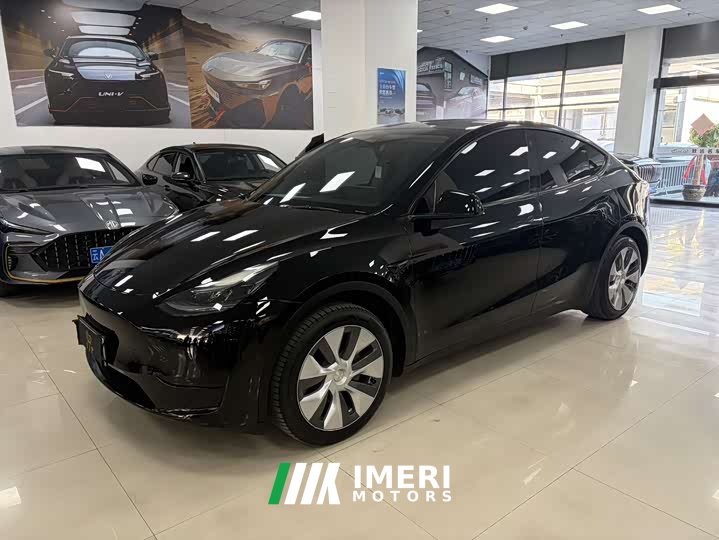 Tesla Model Y 2022 rear-wheel drive version - автомобиль из Китая
