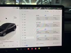 Tesla Model Y 2022 rear-wheel drive version - фото 14
