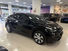 Tesla Model Y 2022 rear-wheel drive version - фото 3