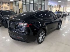 Tesla Model Y 2022 rear-wheel drive version - фото 6