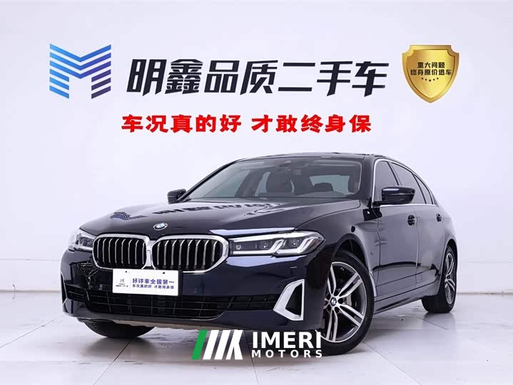 BMW 5 Series 530Li Leading Luxury Package - автомобиль из Китая
