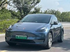 Tesla Model Y Edition - фото 1