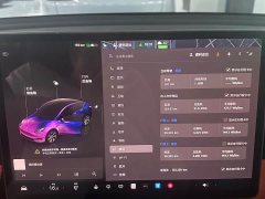 Tesla Model Y Edition - фото 15