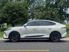 Denza LS6 Max Edition - фото 4