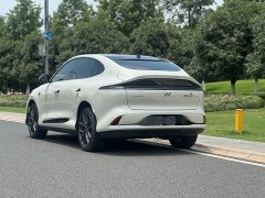 Denza LS6 Max Edition - фото 5